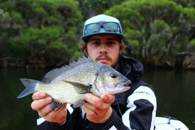 Marg's Bream